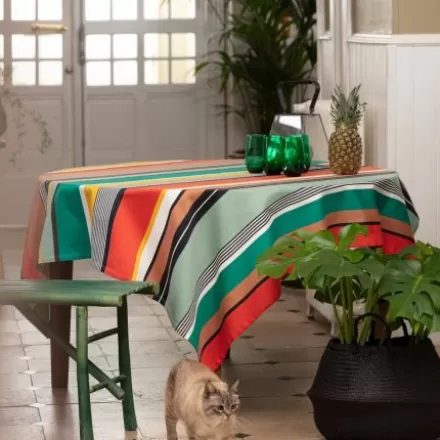 Nappe Enduite*Jean-Vier Nappe Enduite